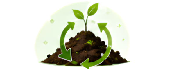 Composting Plant Setup